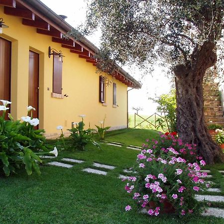 Agriturismo Tenuta Santa Maria Notaresco Zewnętrze zdjęcie
