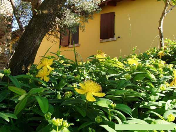 Agriturismo Tenuta Santa Maria Notaresco Zewnętrze zdjęcie