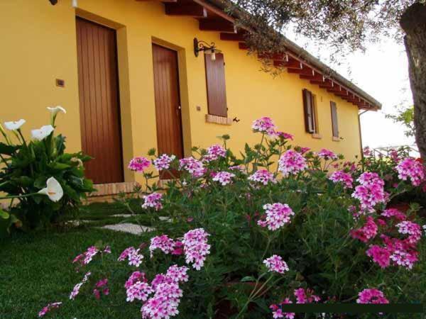 Agriturismo Tenuta Santa Maria Notaresco Zewnętrze zdjęcie