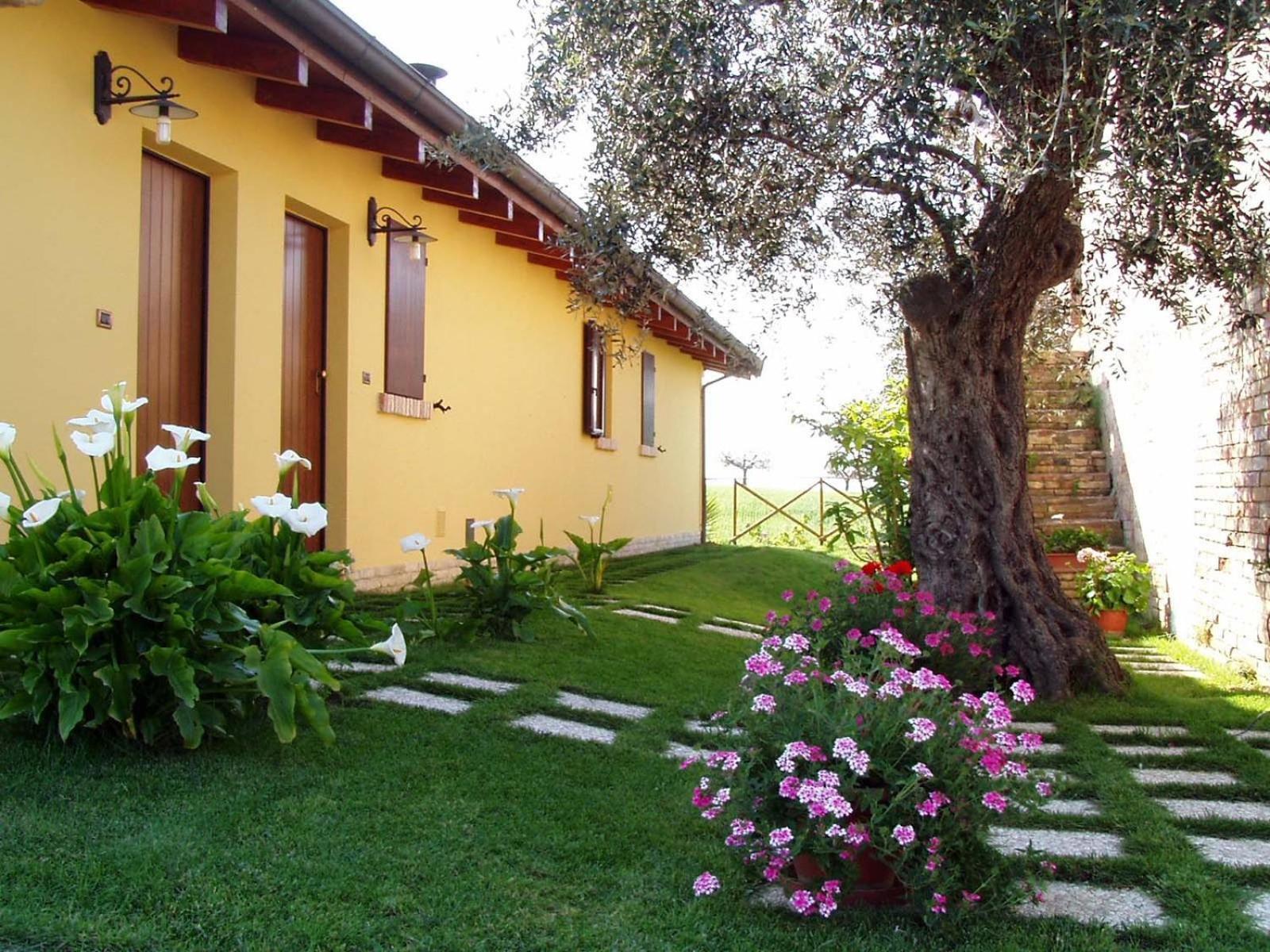 Agriturismo Tenuta Santa Maria Notaresco Zewnętrze zdjęcie