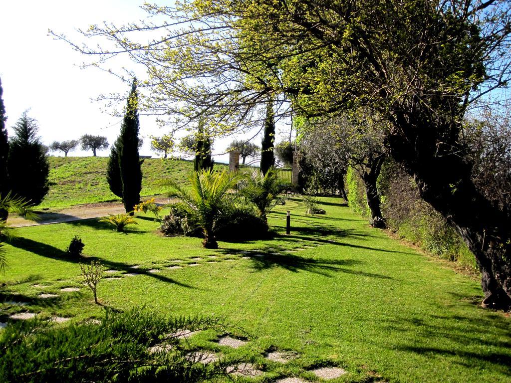 Agriturismo Tenuta Santa Maria Notaresco Zewnętrze zdjęcie