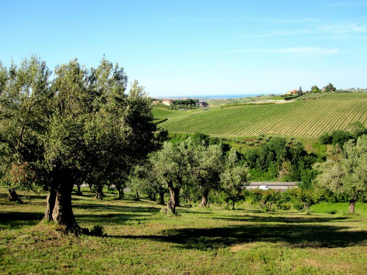 Agriturismo Tenuta Santa Maria Notaresco Zewnętrze zdjęcie